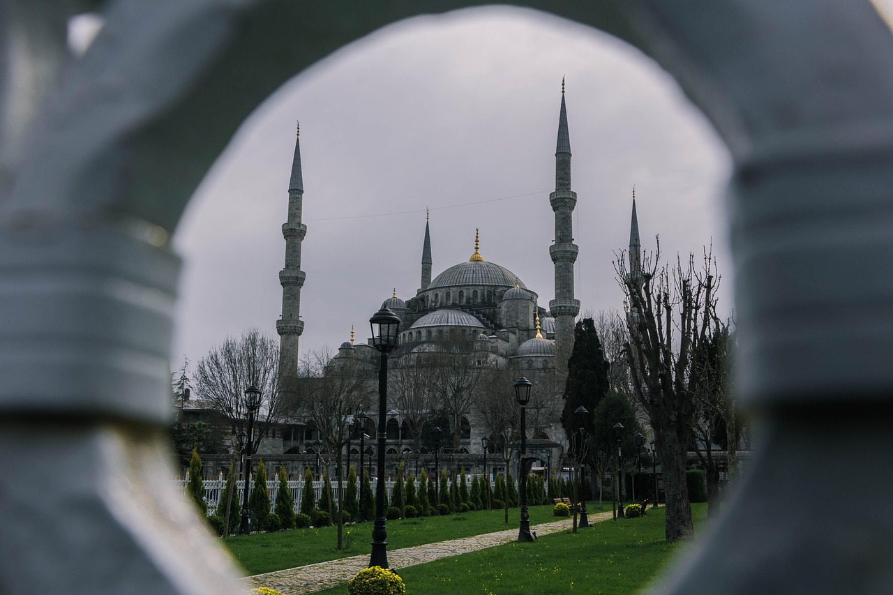The Blue Mosque in Turkey viewed through a decorative fence, showcasing its iconic domes and minarets.