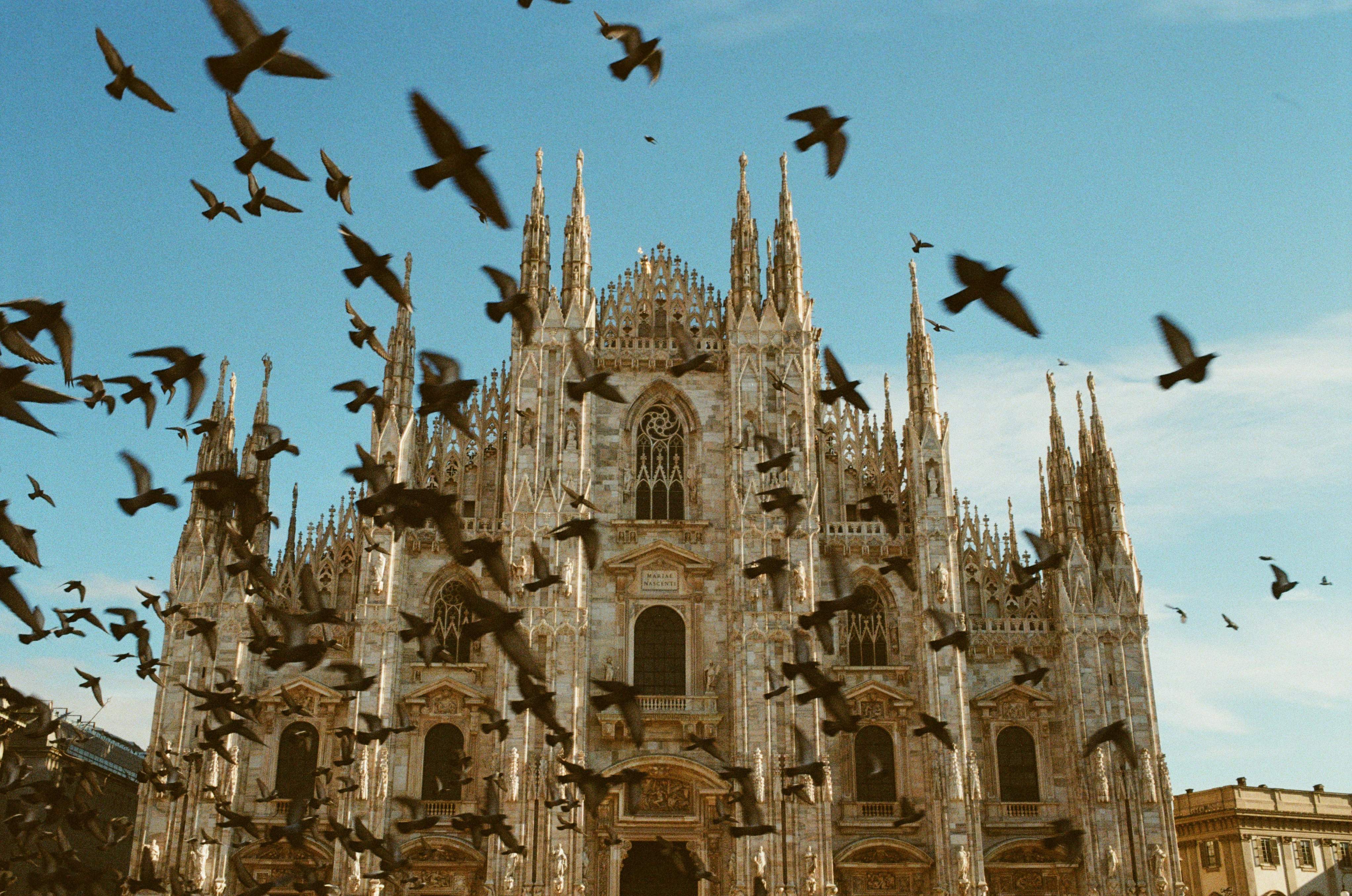 Duomo di Milano Church in Milan with numerous birds flying around its grand architecture.