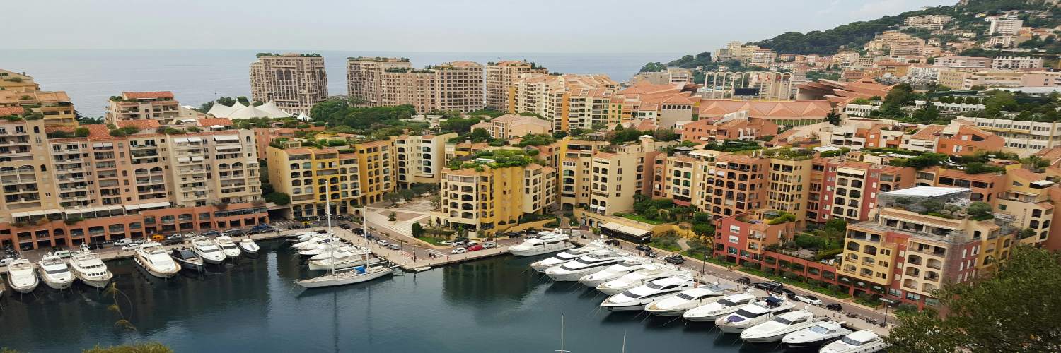 A scenic harbor filled with various boats docked, showcasing the beauty of Monaco's waterfront.
