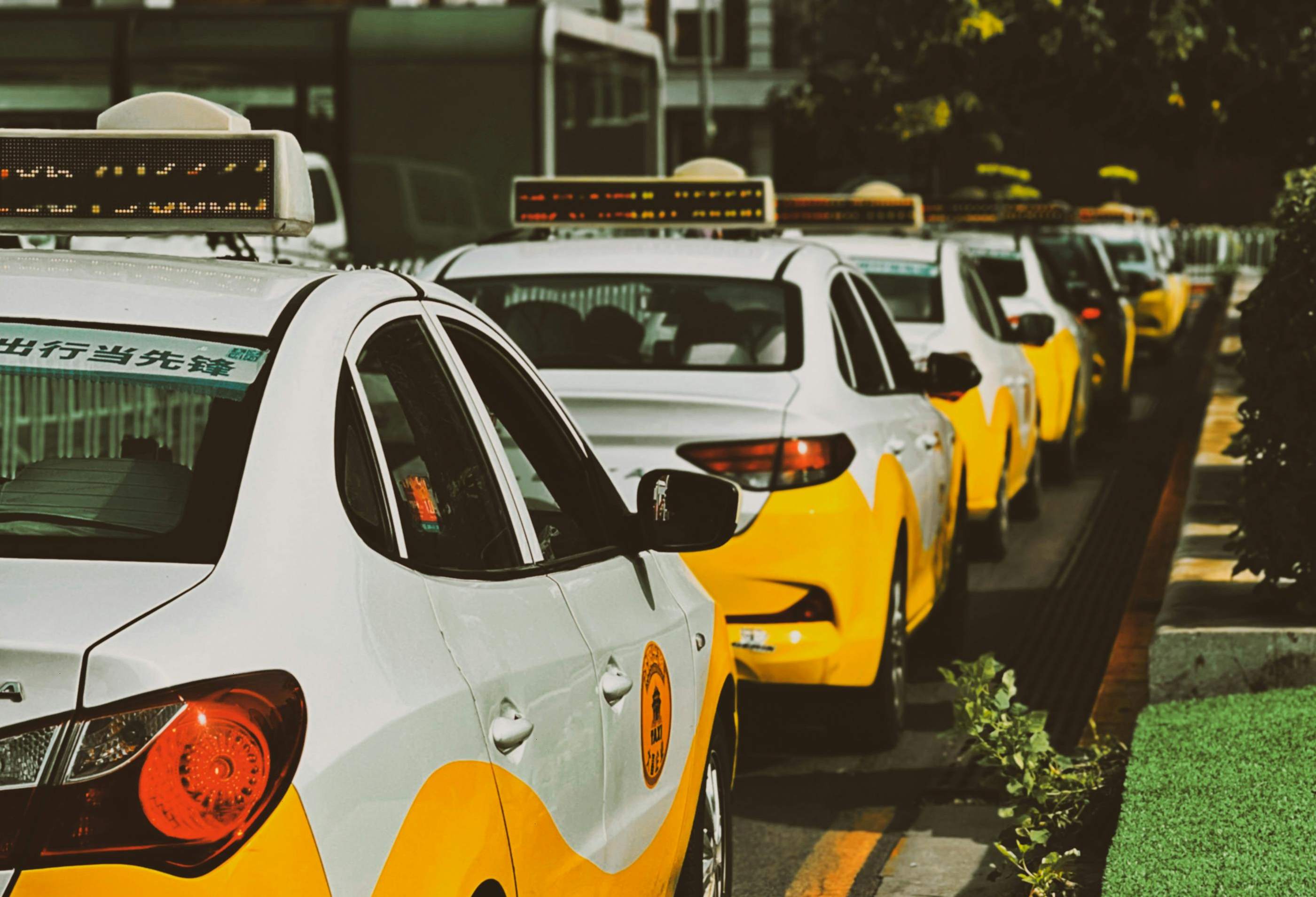 A row of yellow taxis parked on a street, ready for airport transfers in a bustling city environment.
