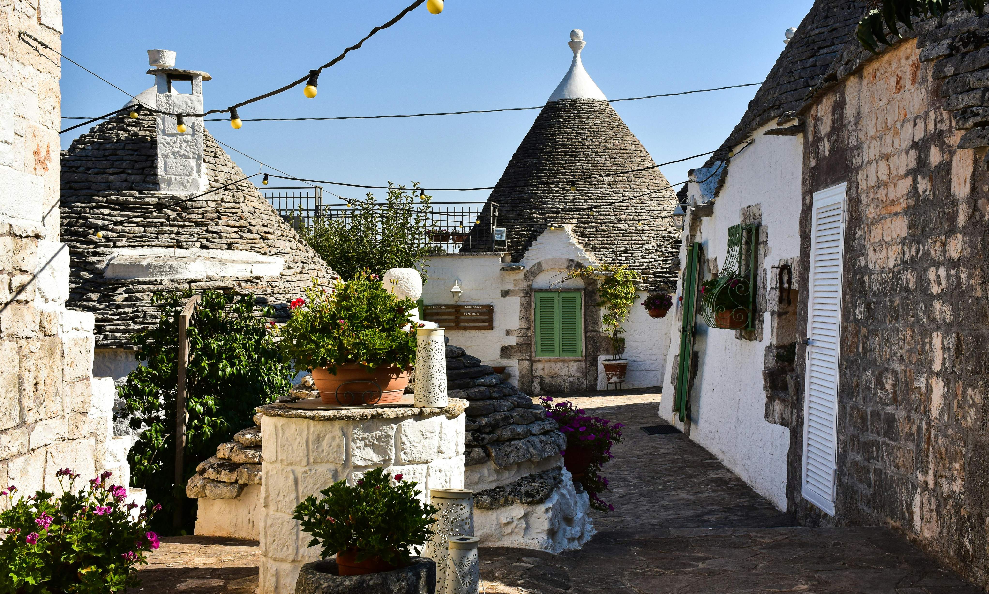 A charming narrow street in Alberobello, Italy, showcasing stone architecture and a few decorative potted plants.