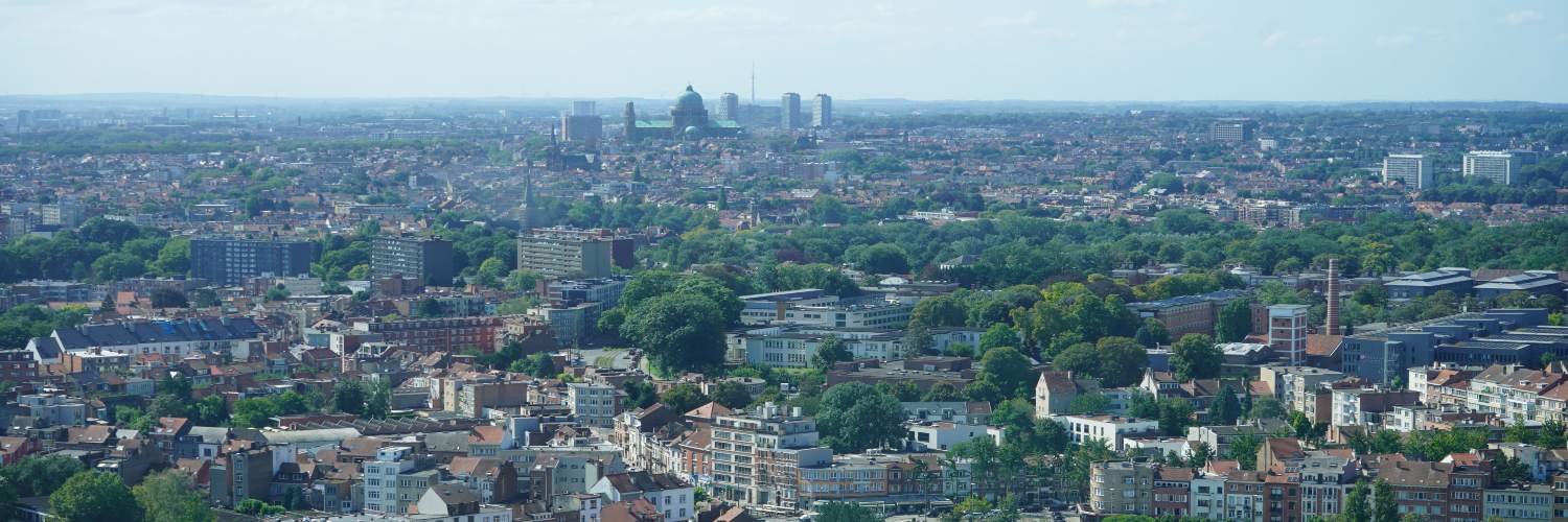 Elevated view of Brussels, displaying the urban landscape and notable structures against the skyline.