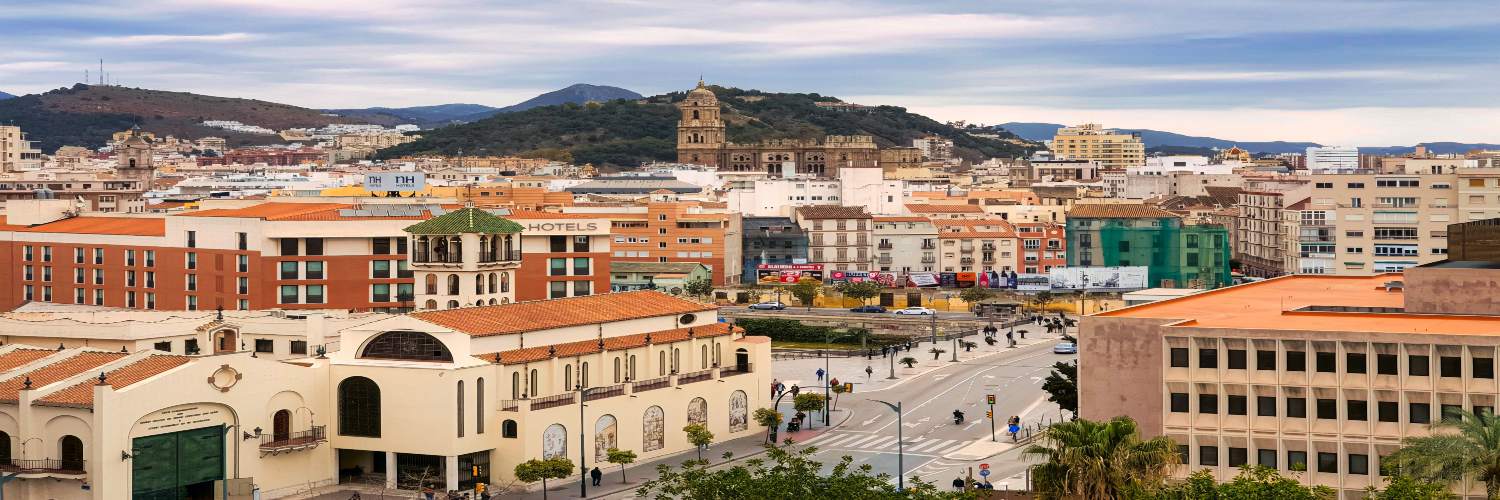 Panoramic view of Malaga sightseeing featuring the city skyline, historic buildings, and Malaga Cathedral.