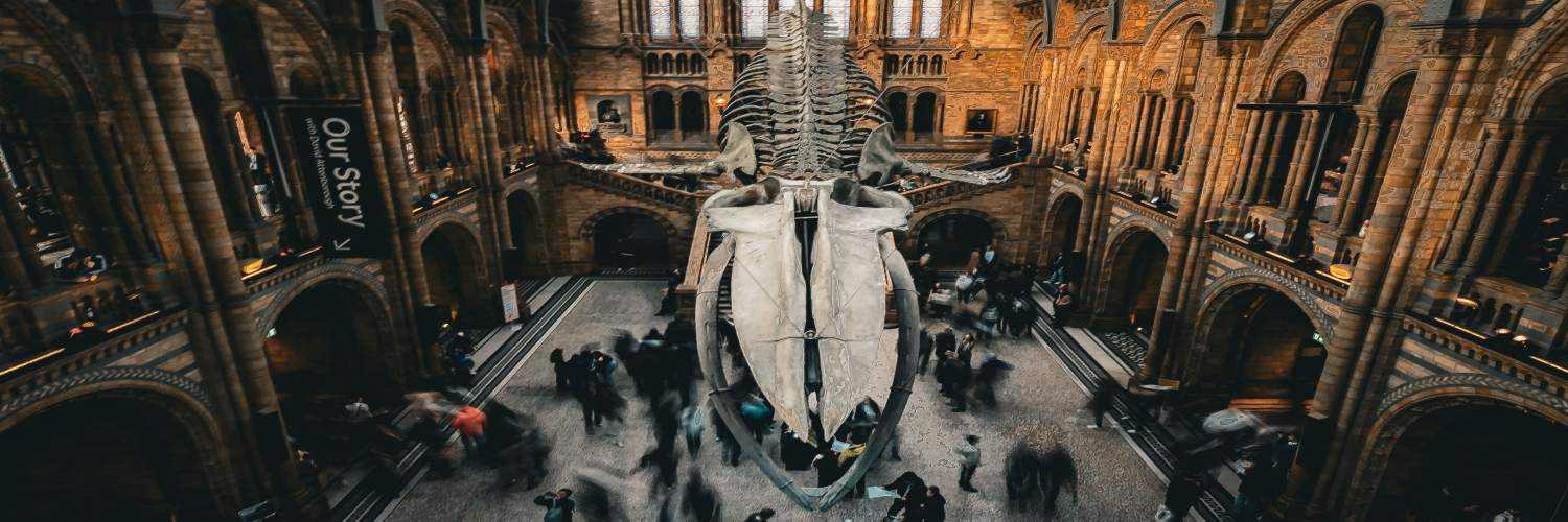 Exterior view of the Natural History Museum in London, showcasing its iconic architecture and surrounding greenery.